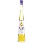 Galliano Vanille Liqueur