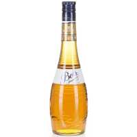 Bols Apricot 24% 0.70