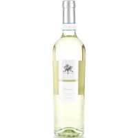 Corte Olivi Bianco di Custoza DOC 0.75