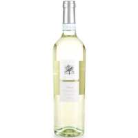Corte Olivi Soave Classico DOC 0.75