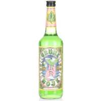 Grüne Boje Pfefferminzlikör 18% 0.70