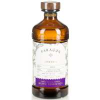 Monin Paragon Labdanum 0.485