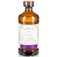 Monin Paragon Palo Santo 0.485