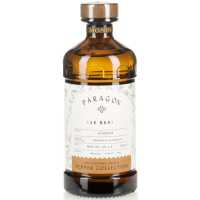 Monin Paragon Rue Berry 0.485