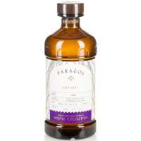 Monin Paragon Vetiver 0.485