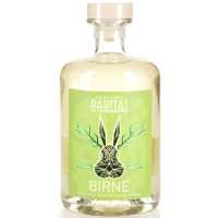 Raritas Birne 32% 0.50