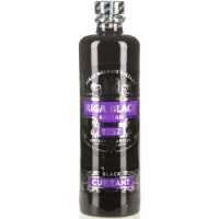 Rigas Balzams Currant 30% 0.50